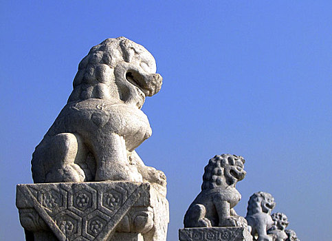 bạch thủ ngày hôm nay
