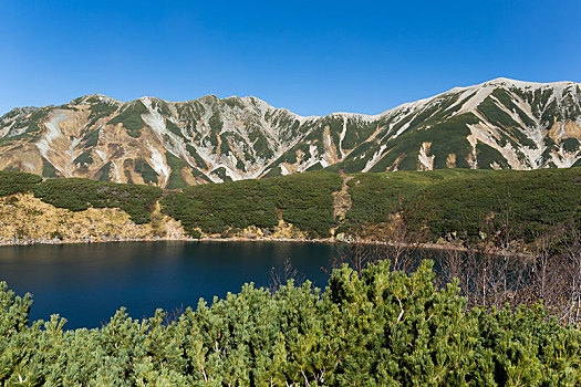 lo bach thu khung 3 ngay 247