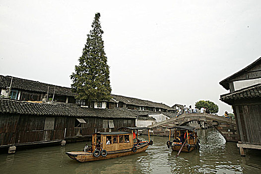 soi cầu bạch thủ