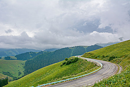 cầu bạch thủ