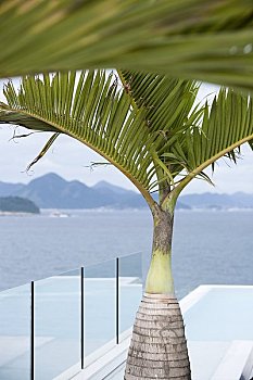 kết quả xổ số kon tum