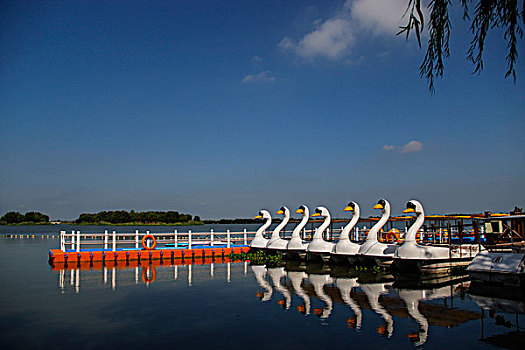 cầu vip miền bắc