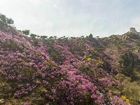 đánh đề trên mạng
