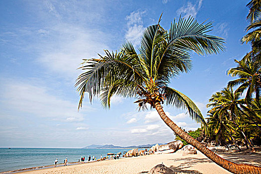 thống kê bach thủ