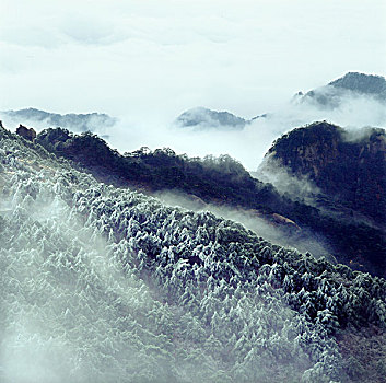 soi cau lô