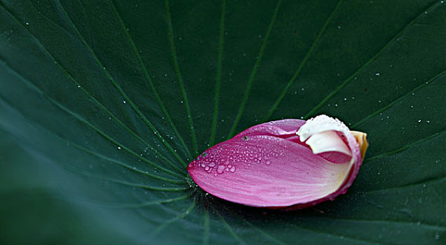 xo so tien giang