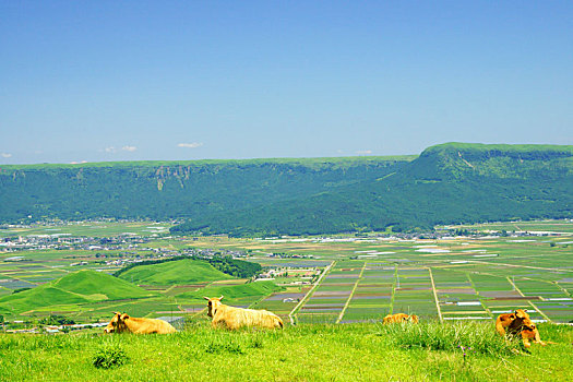 xổ số thứ