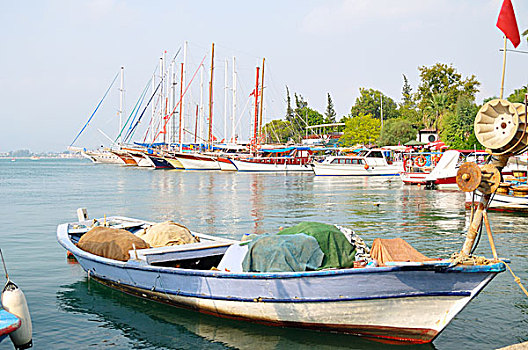 soi cau dau duoi