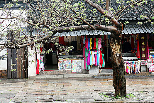 xô số miền bắc