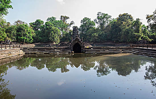 bachthu mienbac