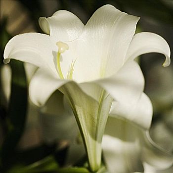 xổ số thành phố thứ bảy