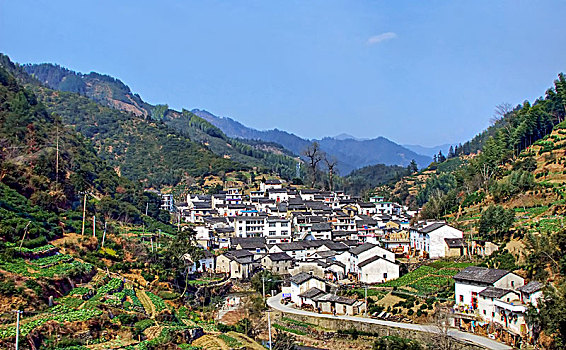 soi cau bach kim mb
