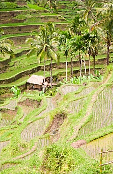 dàn lô 6 số miền bắc