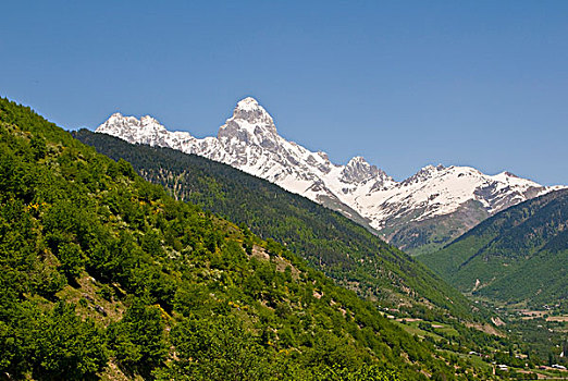 soi cau lo kép