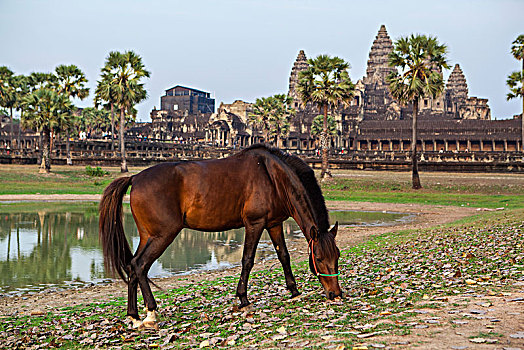 xskt miền bắc