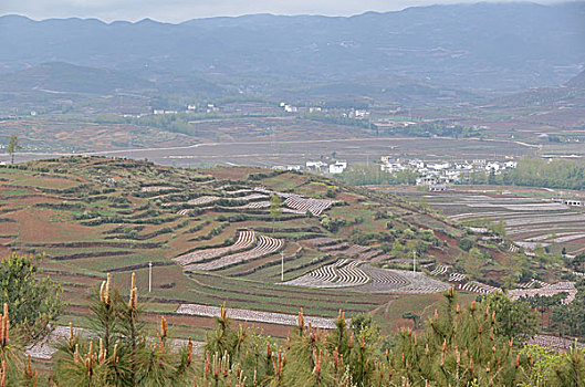 xổ số miền