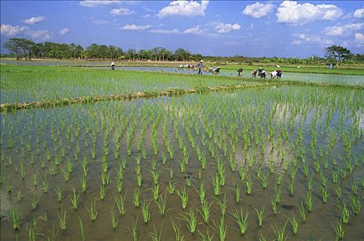 du doan kqxs khanh hoa