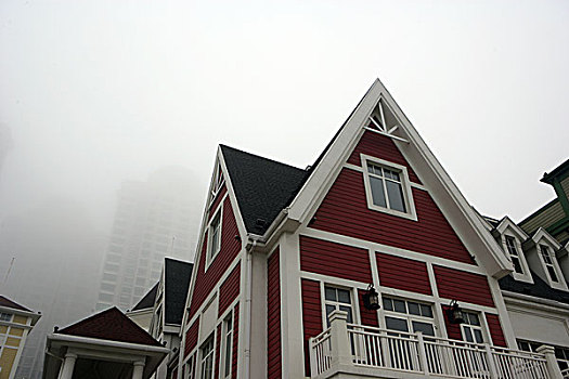 rong vang bach kim