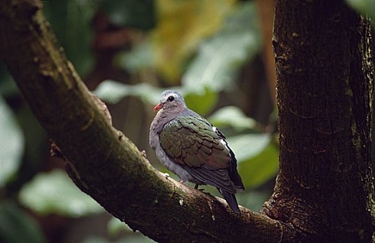 dự doan xsmb