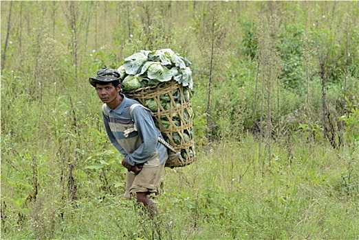 cầu xổ số