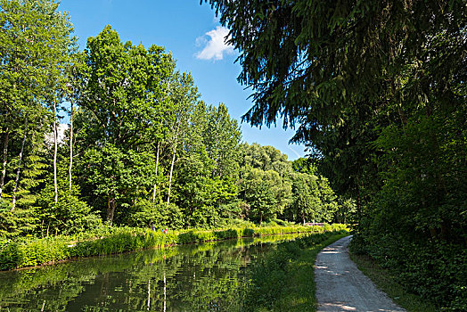 soi cau de bach thu