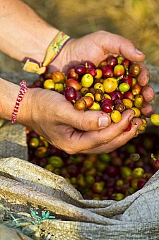 xổ số miền bác