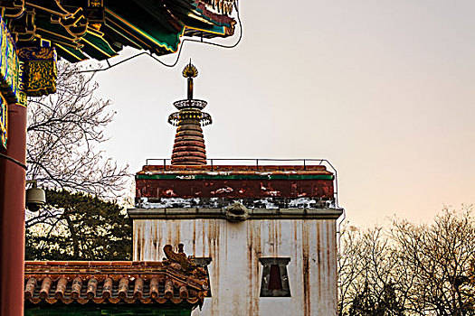cầu lô hôm nay