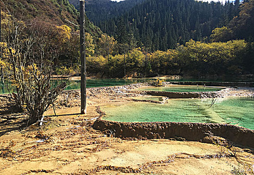soi cau rong bach kim 247