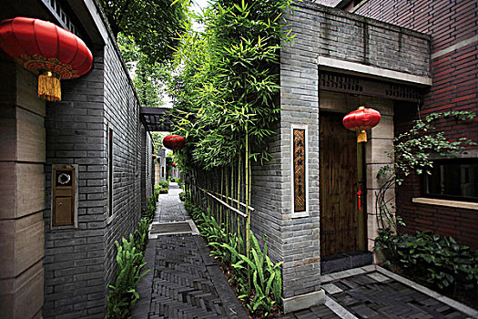 soi câu miễn phí