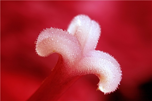 chốt lô chuẩn