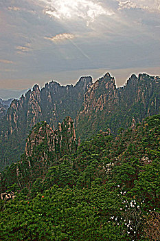 soi cau giai dac biet binh dinh