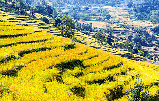 cách soi cầu