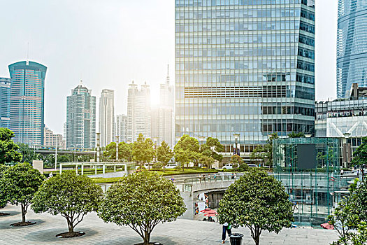 soi cau giai dac biet binh dinh