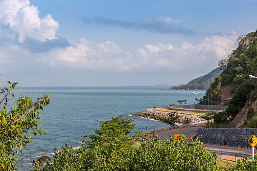 bạch thủ đề miền bắc