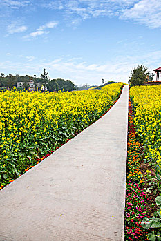3 càng miễn phí