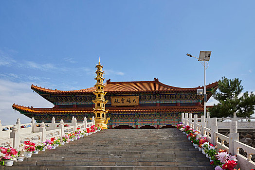 kq minh ngoc