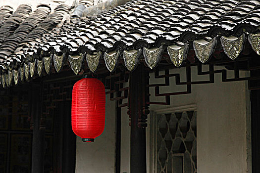 bạch thủ miền bắc hôm nay