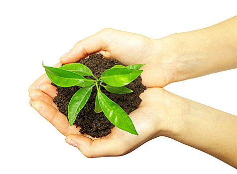 xổ số kiến thiết quảng bình