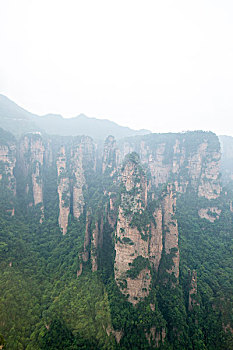 soi cau nha cai