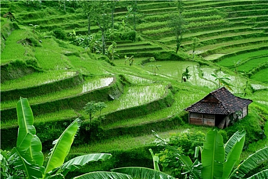 xác suất lô đề