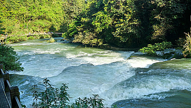 xổ số bạch kim