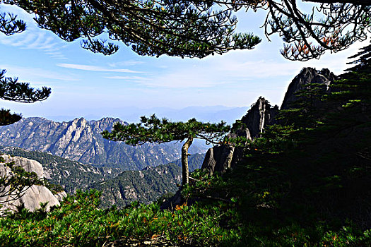 soi cau dai loc