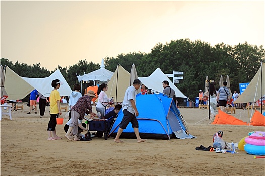 vip miền bắc