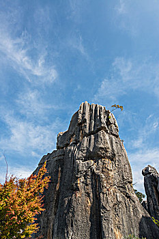 xổ số thành phố hàng tuần