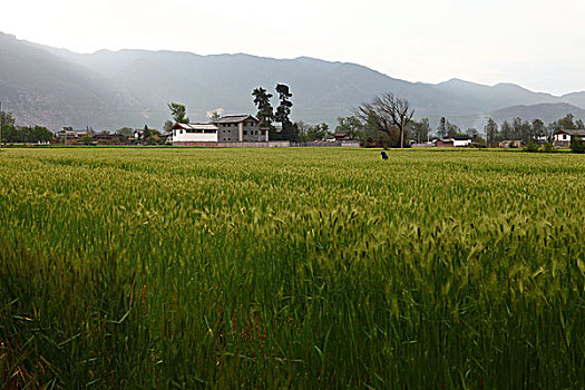 du đoan xo so