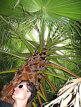 lo rong bạch kim