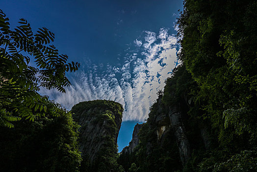 xs tiền giang