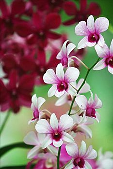 xo so binh duong hom nay