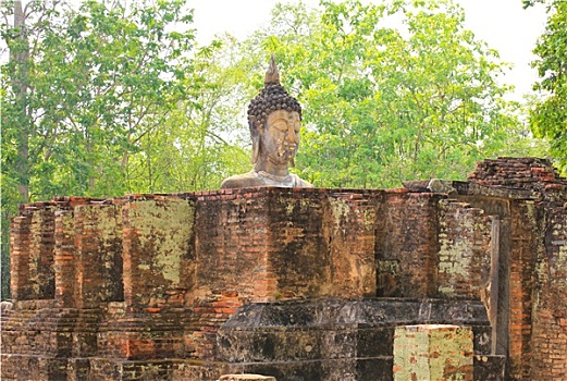 soi cau 666