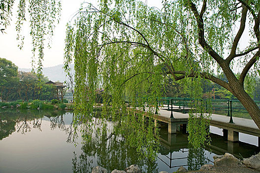 soi cau lo chuan